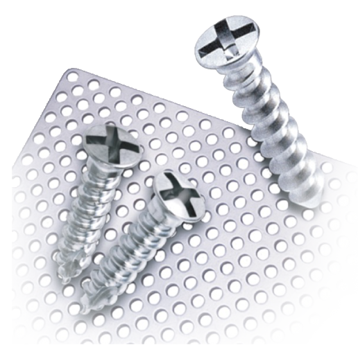 Le Forte Screws and Plate